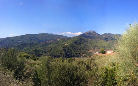 Gaucin wooded hills in the distance